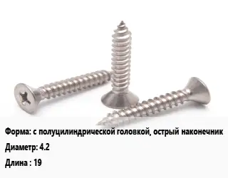 Саморез с полуцилиндрической головкой, острый наконечник D=4.2 L=19